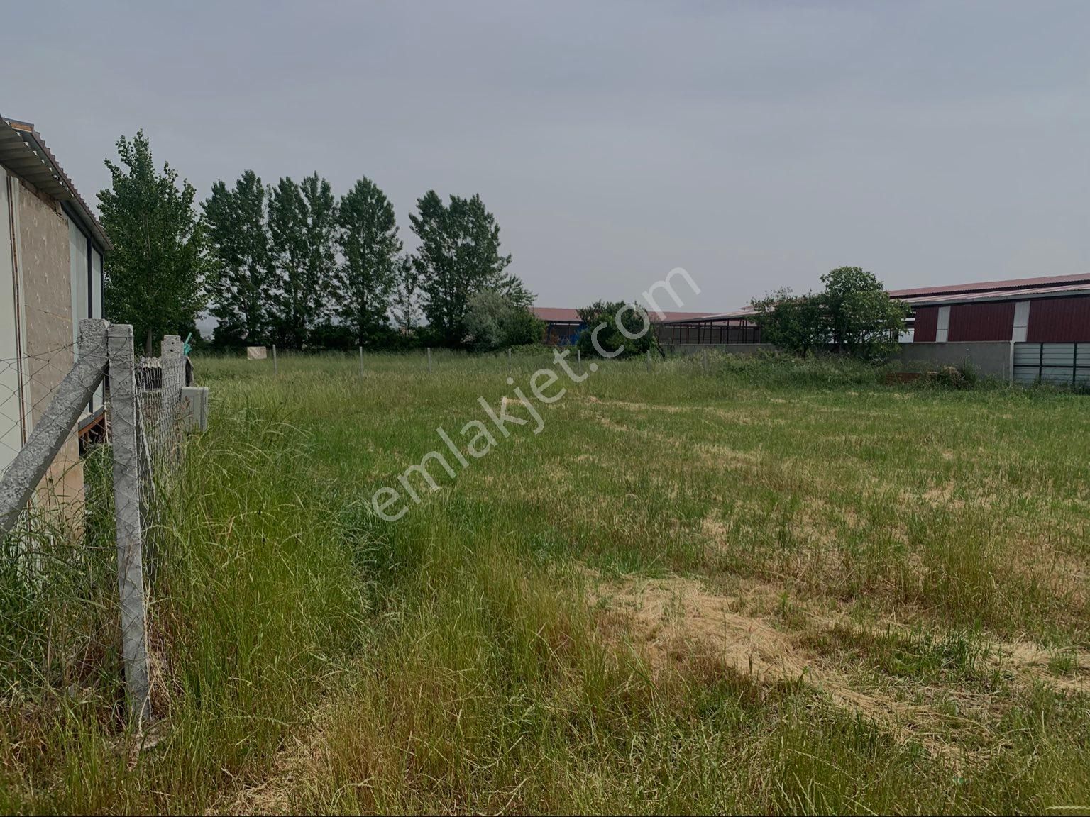 Torbalı İnönü Satılık Tarla “heryerden” Ayrancılar İnönü Mahallesinde Hisseli Elektrik Su Yolu Olan Bahçe