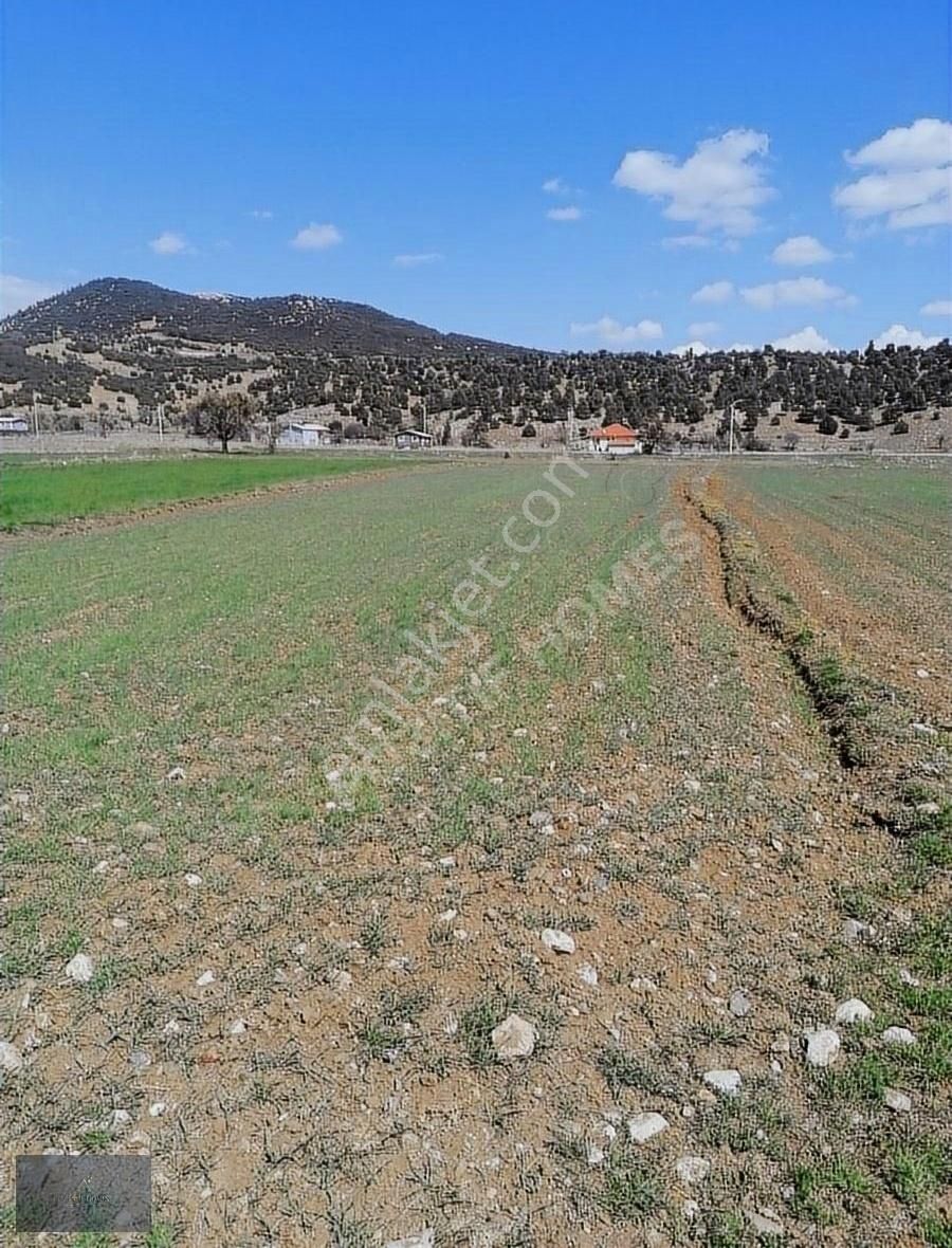 Seydikemer Çobanisa Satılık Tarla Araç takasli satılık tarla