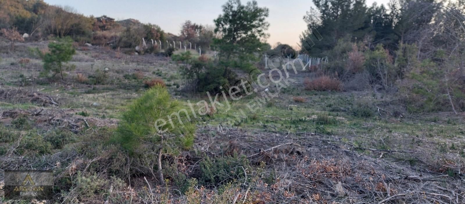 Bergama Örlemiş Satılık Tarla AFACAN dan Örlemiş te Asfalt Yakını Satılık Arazi