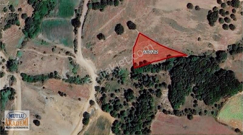 Yenişehir Bey Pınar Köyünde Satılık Hobi Bahçesi - Görsel 10