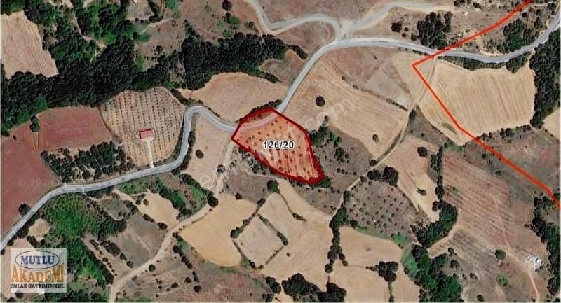 Yenişehir Bey Pınar Köyünde Satılık Hobi Bahçesi - Görsel 2