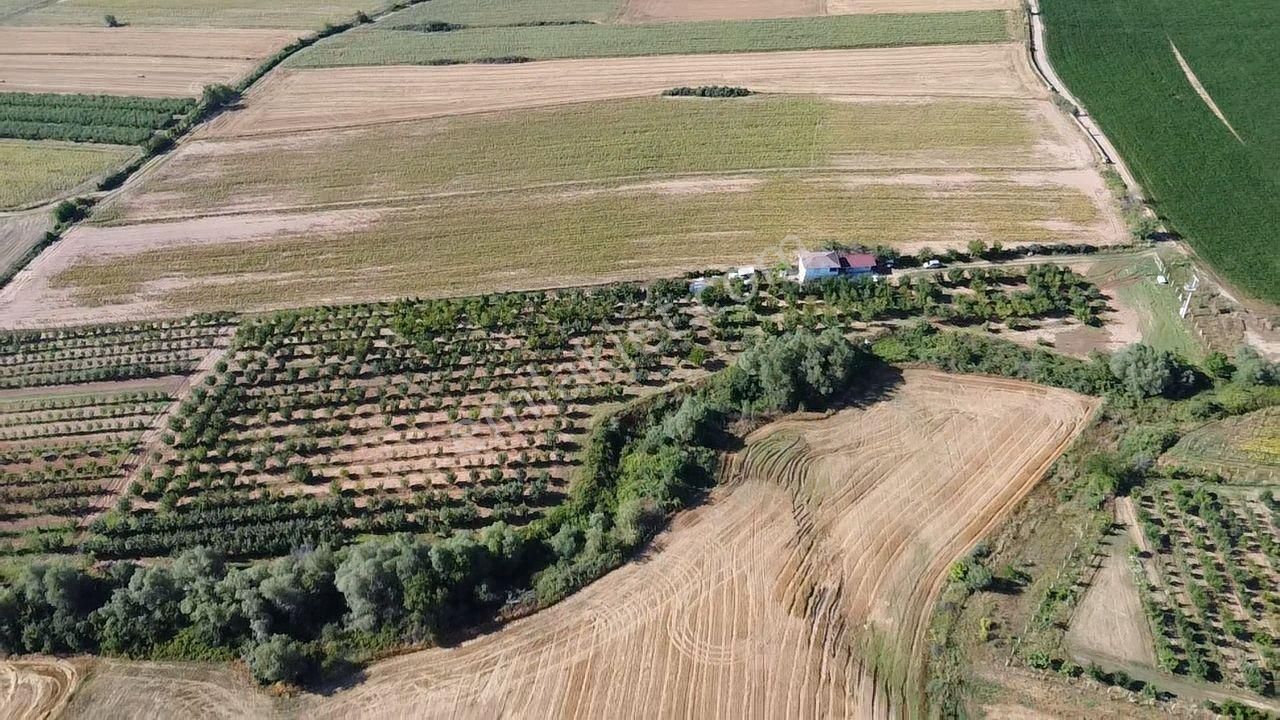 Kırklareli Merkez Kavaklı Bld. (Celaliye) Satılık Bağ & Bahçe MAYADAN KAVAKLIDA 23.050M2 YAPI RUHSATLI SATILIK MEYVE ÇİFTLİĞİ