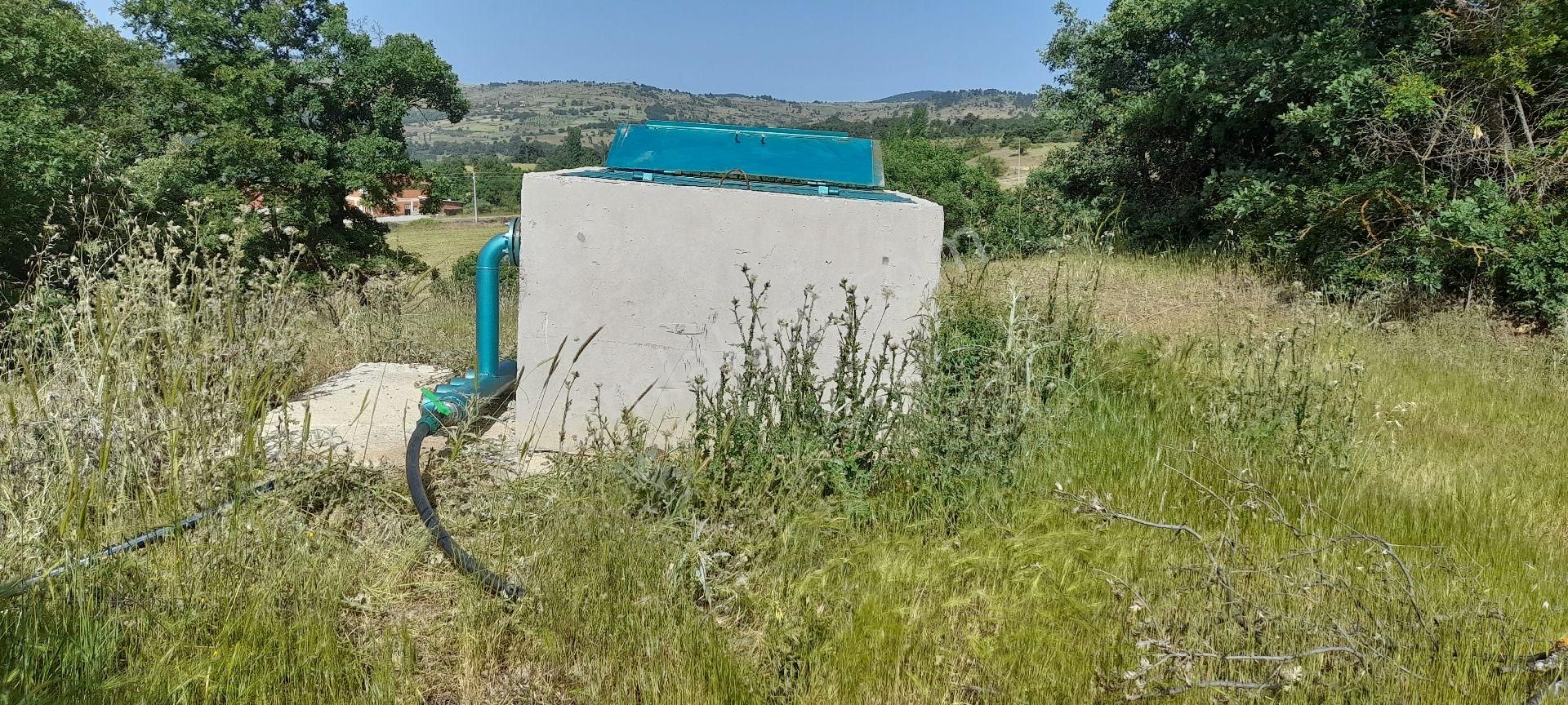 Gördes Çiçekli Satılık Tarla ceviz dikimine uygun fırsat tarla