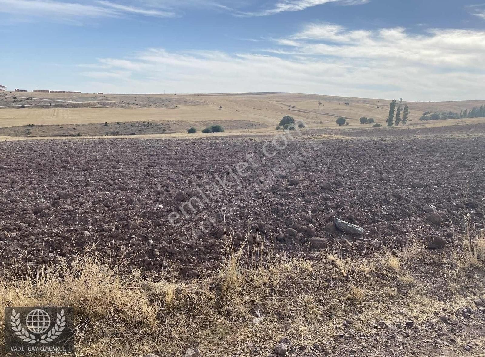 Seyitgazi Ayvalı Satılık Tarla Vadi Den Seyitgazi Ayvalı Köyün De Kaçırılmıyacak Arazi