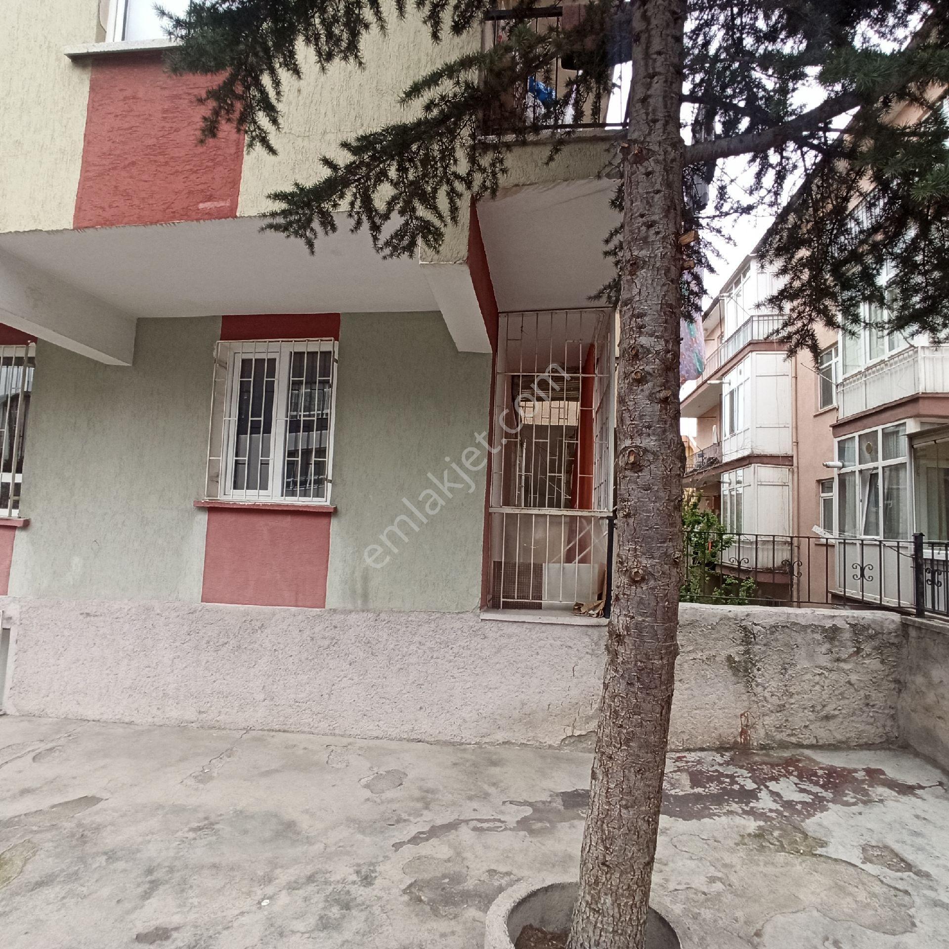 Sahibinden Yüksek Giriş Boş Daire - Görsel 3