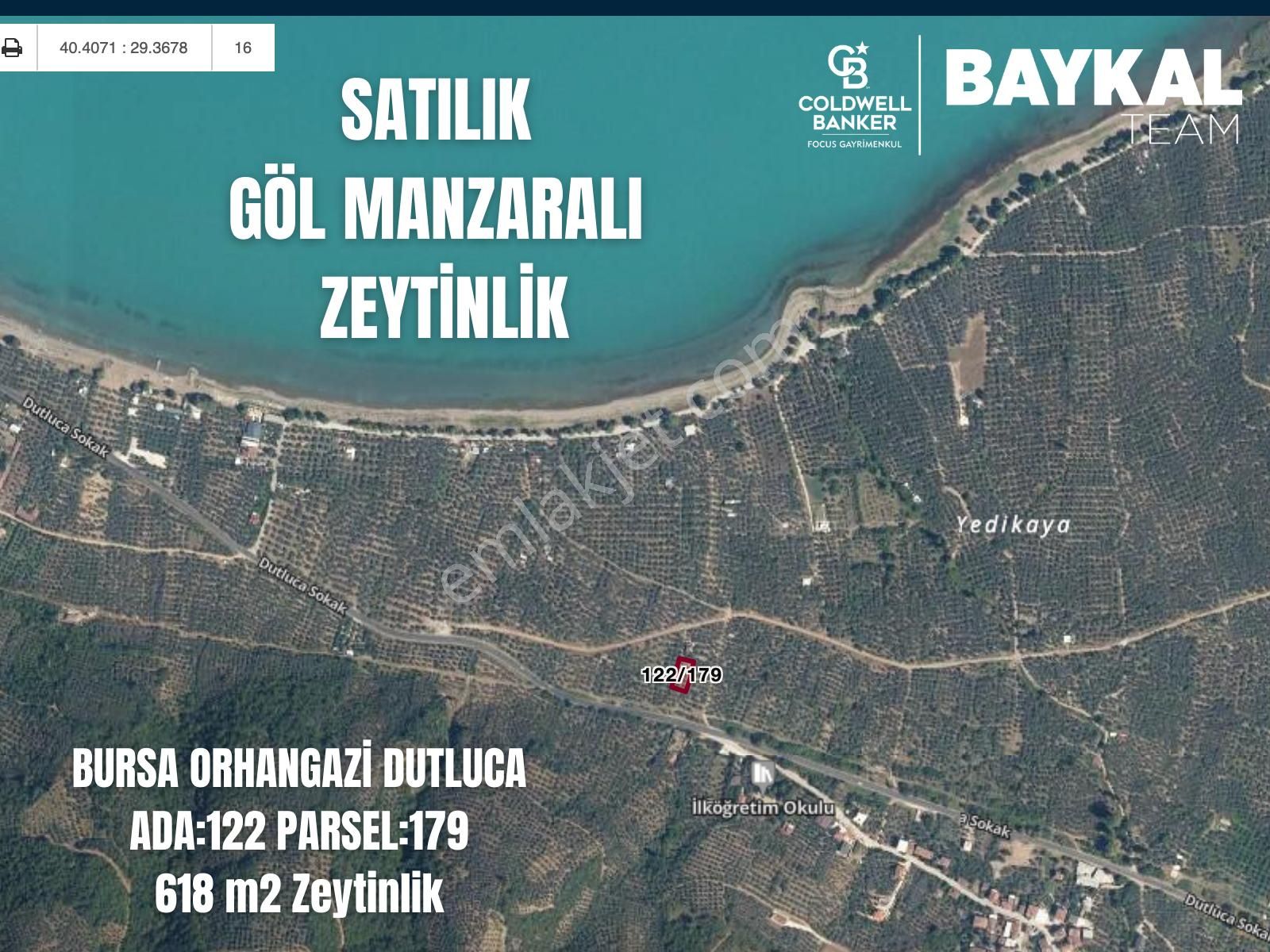 Orhangazi Dutluca Satılık Zeytinlik  Bursa Orhangazi Dutlucada Göl Manzaralı 618 m2 Zeytinlik