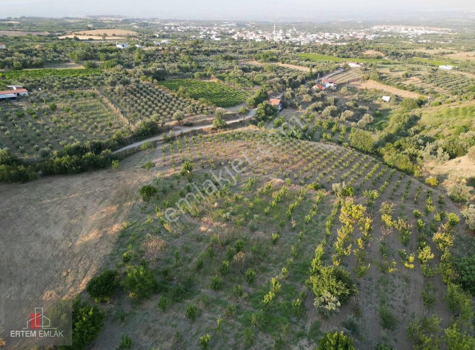 Şehzadeler Sancaklıbozköy Satılık Tarla Manisa Sancaklıbozköy Satılık 1.150M2 Kirazlık Elektirik+Su Var