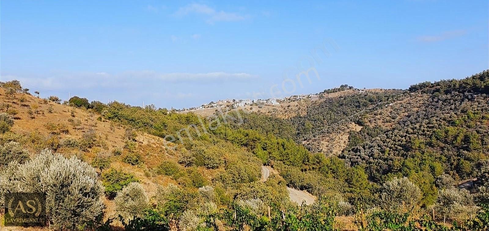 Seferihisar Gödence Satılık Tarla As Gyd.seferihisar Gödence'de Köy İçinde Ruhsatlı Ev Olan Tarla