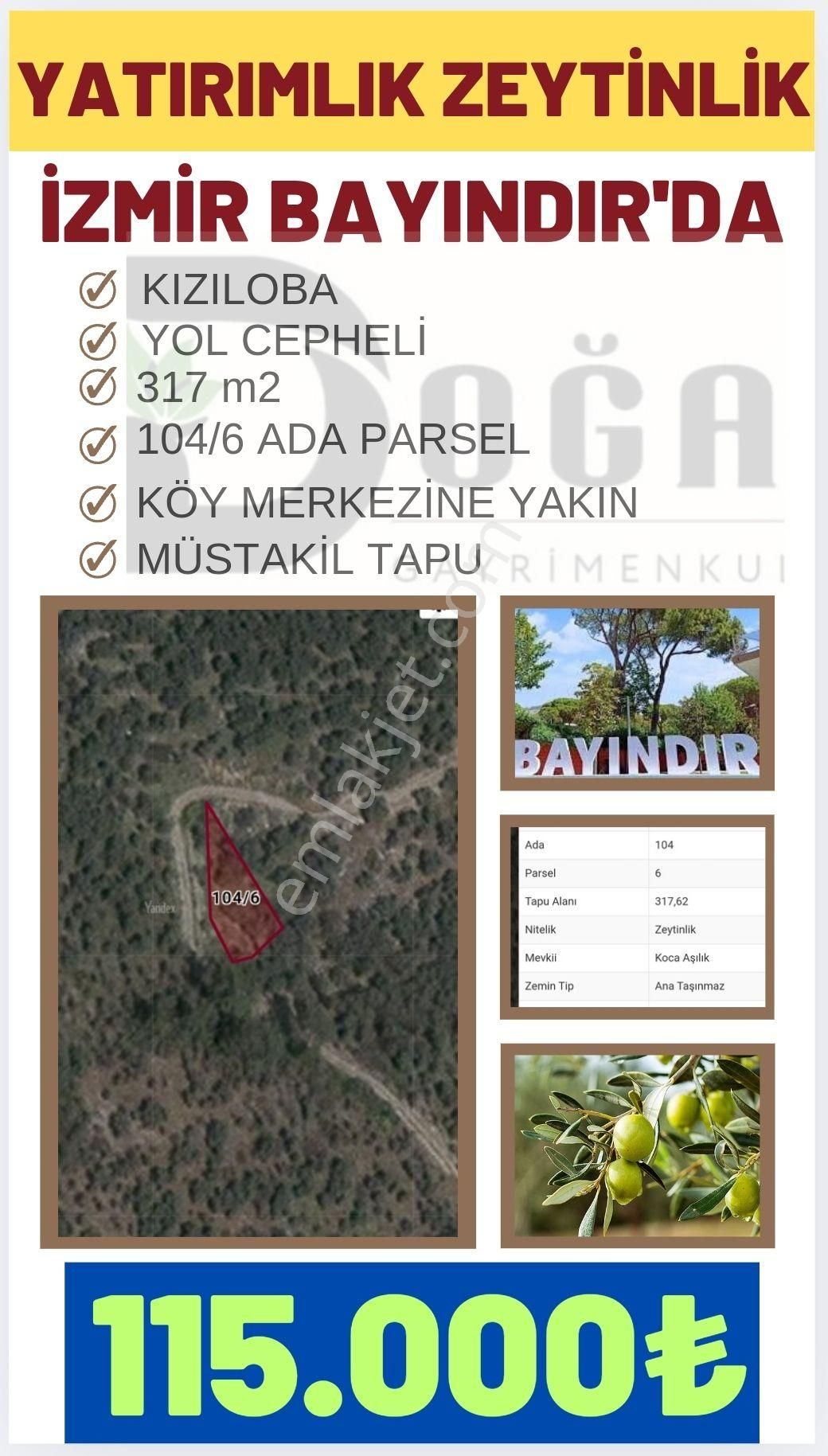 Doğa Gayrimenkul'den İzmir'de Acil Satılık Zeytinlik - Görsel 5