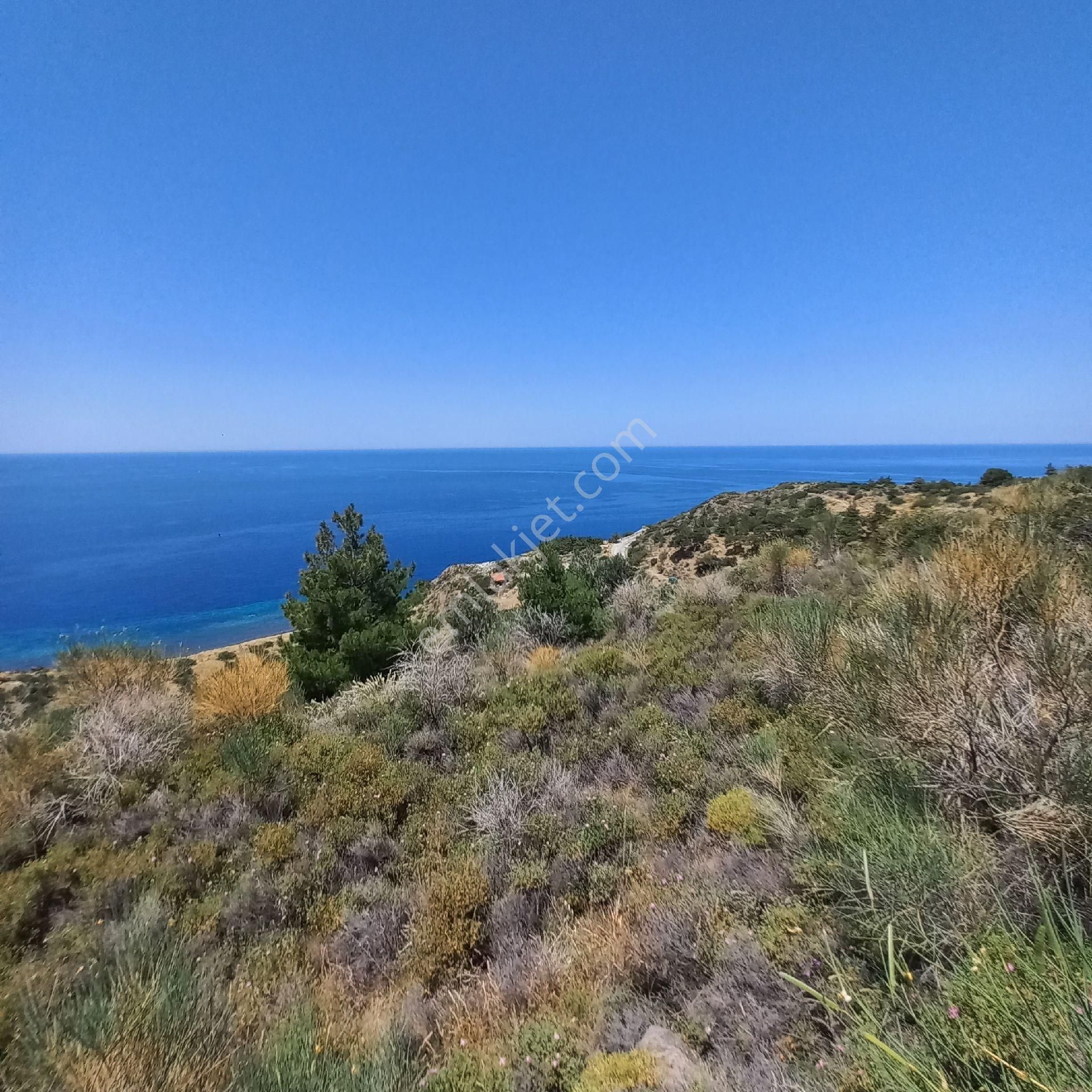 Ayvacık Babakale Köyü Satılık Tarla babakalede deniz manzaralı