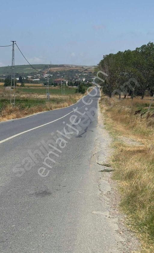 Çatalca Nakkaş Satılık Tarla NAKKAŞ MAHALLESİ KÖY E ÇOK YAKIN 194 METRE ARSA