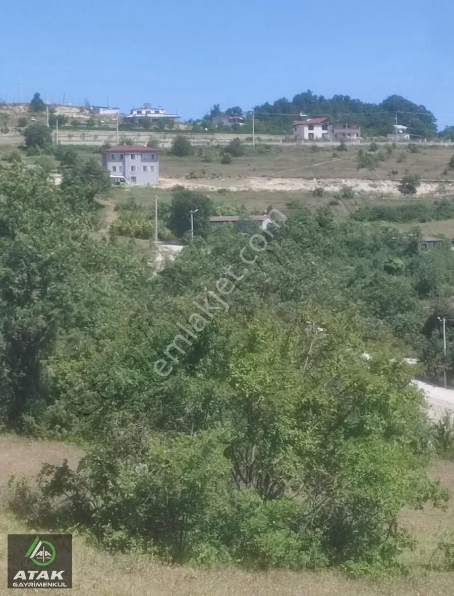 Gebze Duraklı Satılık Tarla Gebze Duraklı Tek Tapu Villa Çiftlik Yapımına Uygun Yer