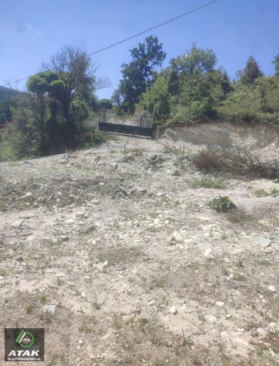 Gebze Duraklı Tek Tapu Villa Çiftlik Yapımına Uygun Yer - Görsel 30