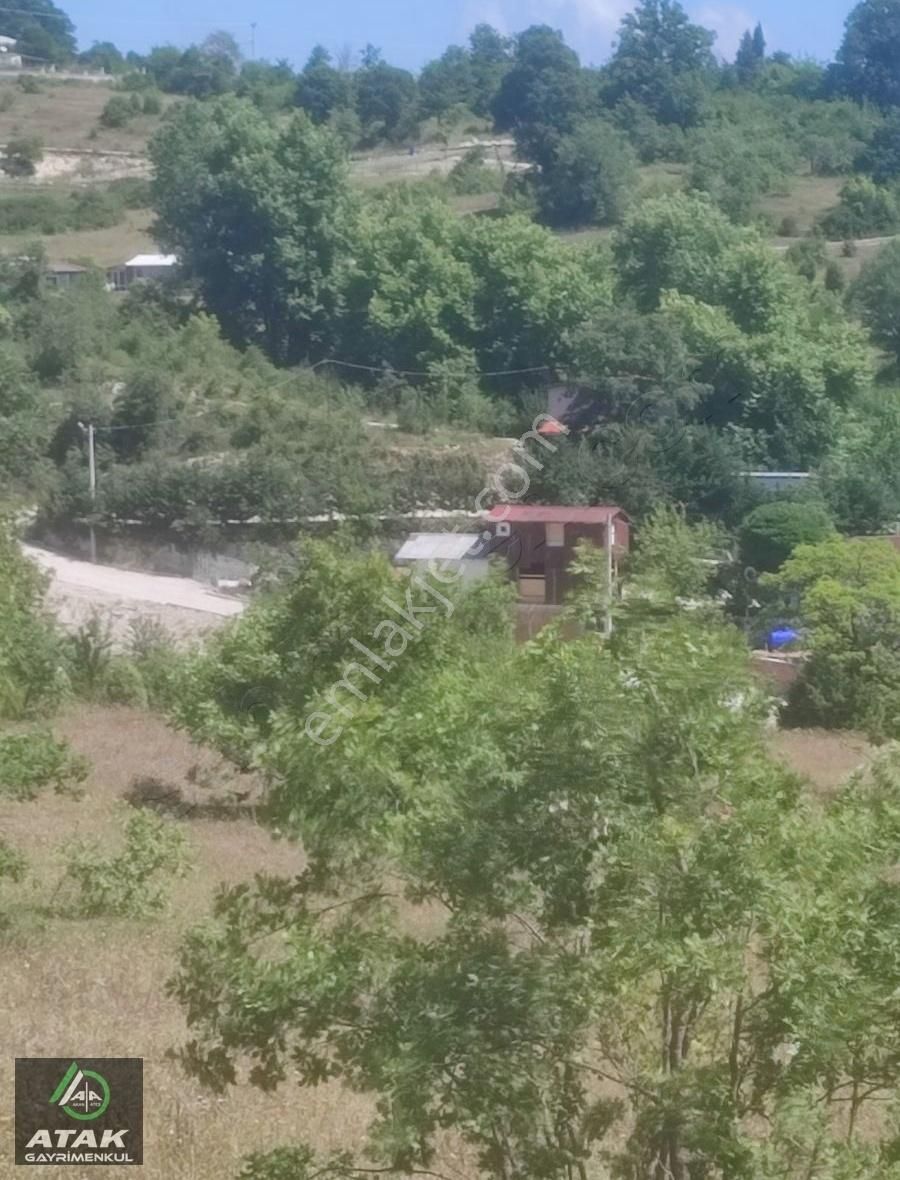 Gebze Duraklı Tek Tapu Villa Çiftlik Yapımına Uygun Yer - Görsel 4