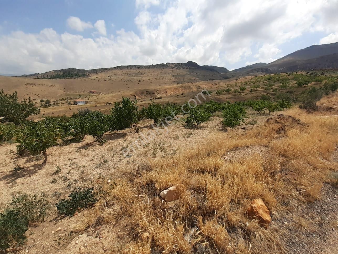 Öz Gaye Emlaktan Develi Tombak Mahallesi Seğlik Mevkiinde Satılık Bağ Yeri - Görsel 3