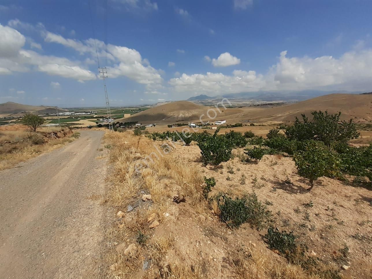 Öz Gaye Emlaktan Develi Tombak Mahallesi Seğlik Mevkiinde Satılık Bağ Yeri - Görsel 2