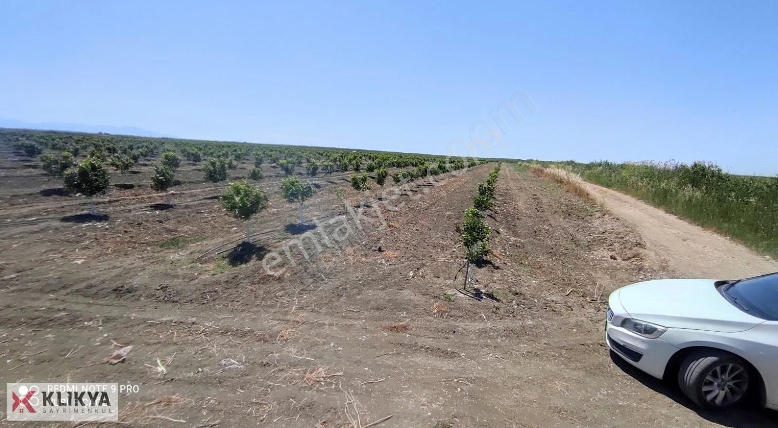 Yusuf Çağlı'dan Karataş/yüzbaşı/topraklı Köyü Satılık Bahçe - Görsel 22