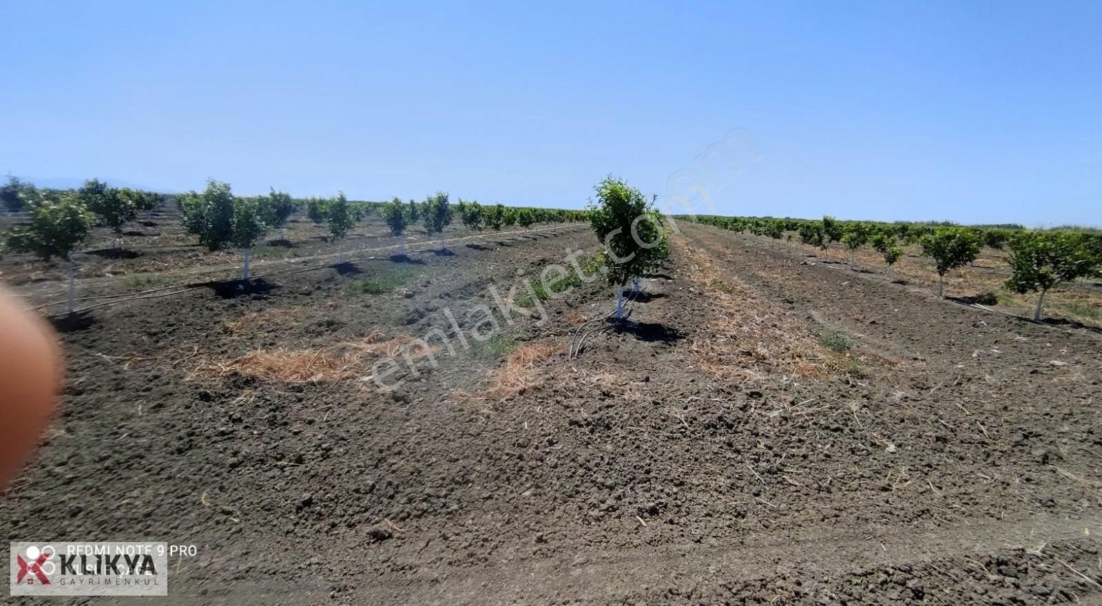 Yusuf Çağlı'dan Karataş/yüzbaşı/topraklı Köyü Satılık Bahçe - Görsel 8