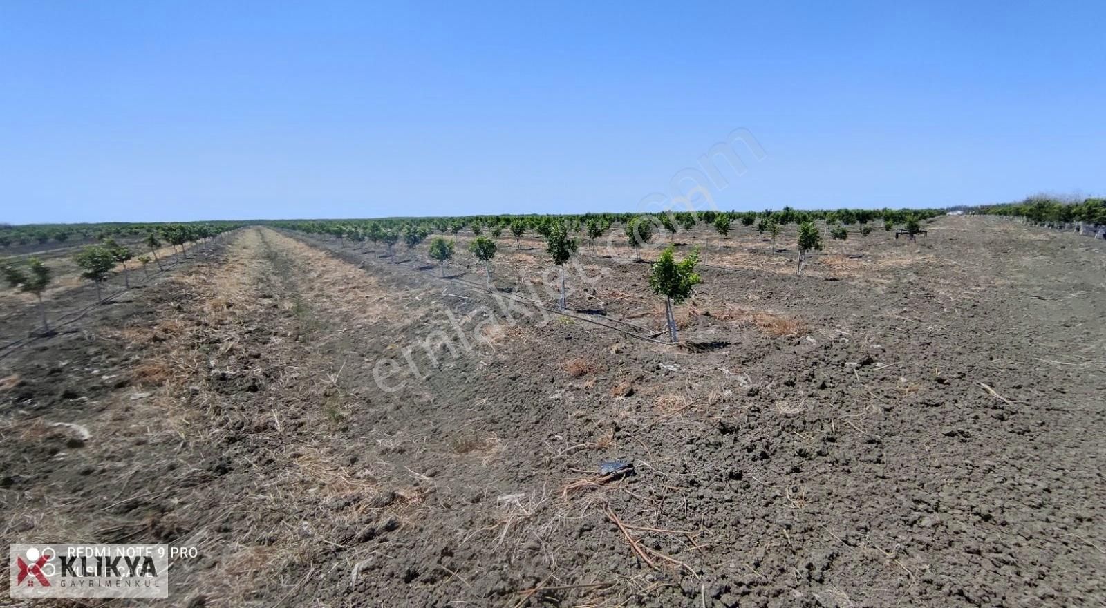 Yusuf Çağlı'dan Karataş/yüzbaşı/topraklı Köyü Satılık Bahçe - Görsel 30