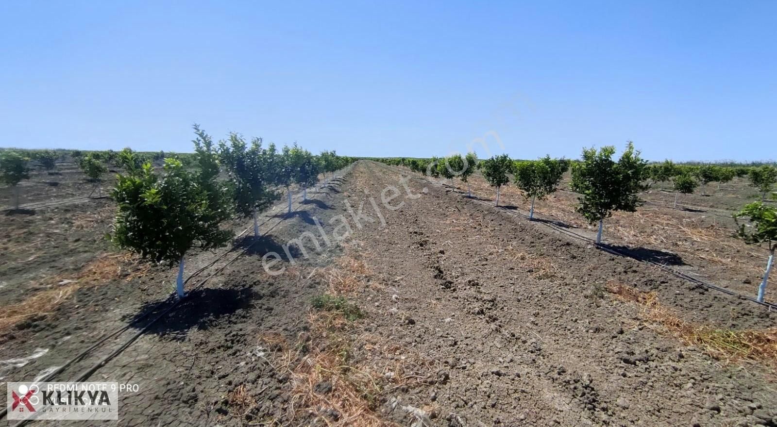 Yusuf Çağlı'dan Karataş/yüzbaşı/topraklı Köyü Satılık Bahçe - Görsel 24