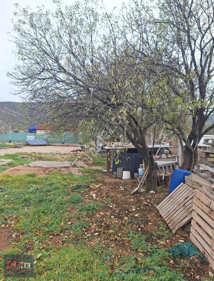 Atabey Pembeli Köyü Satılık Bağ & Bahçe SATILIK BAHÇE EVİ SON SİSTEM YAPILMIŞ