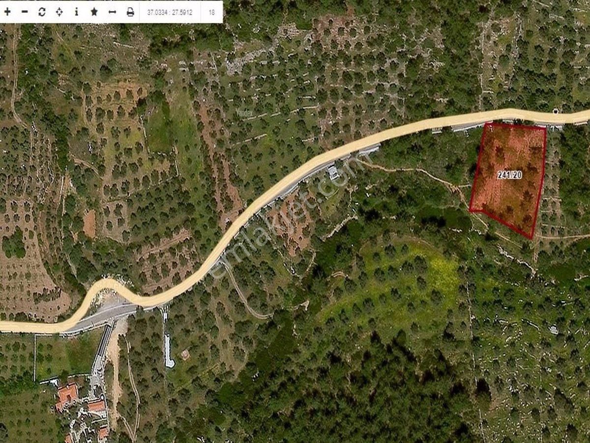 Bodrum Çiftlik Te Yola Sıfır İnşaat İzni Alınmış 3.427 M2 Çiftlik Arazisi - Görsel 5