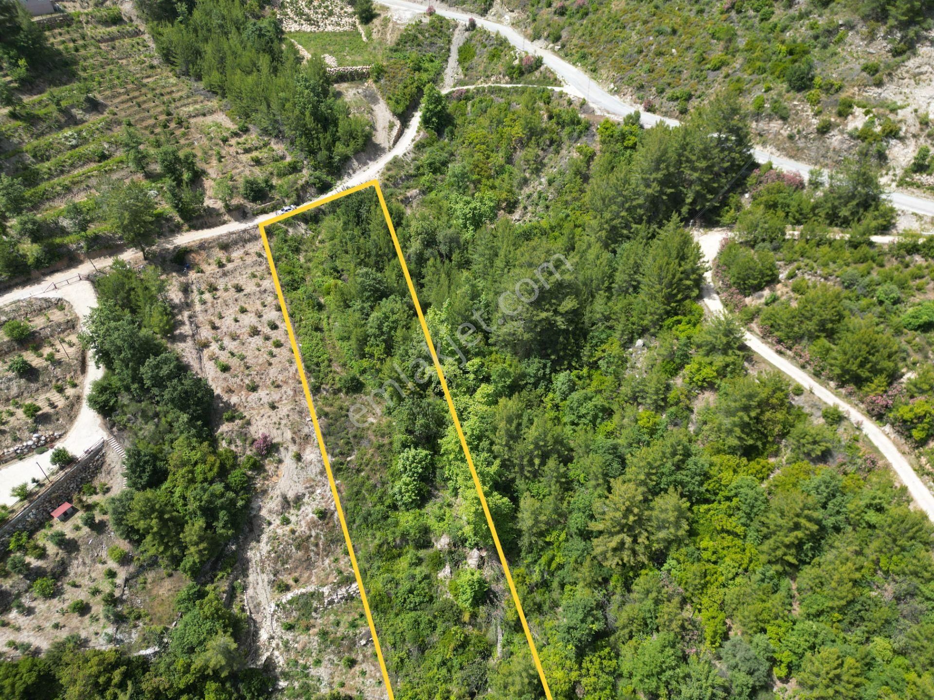 Alanya Üzümlü Köyünde Satılık 2370 M2 Tarla - Görsel 13