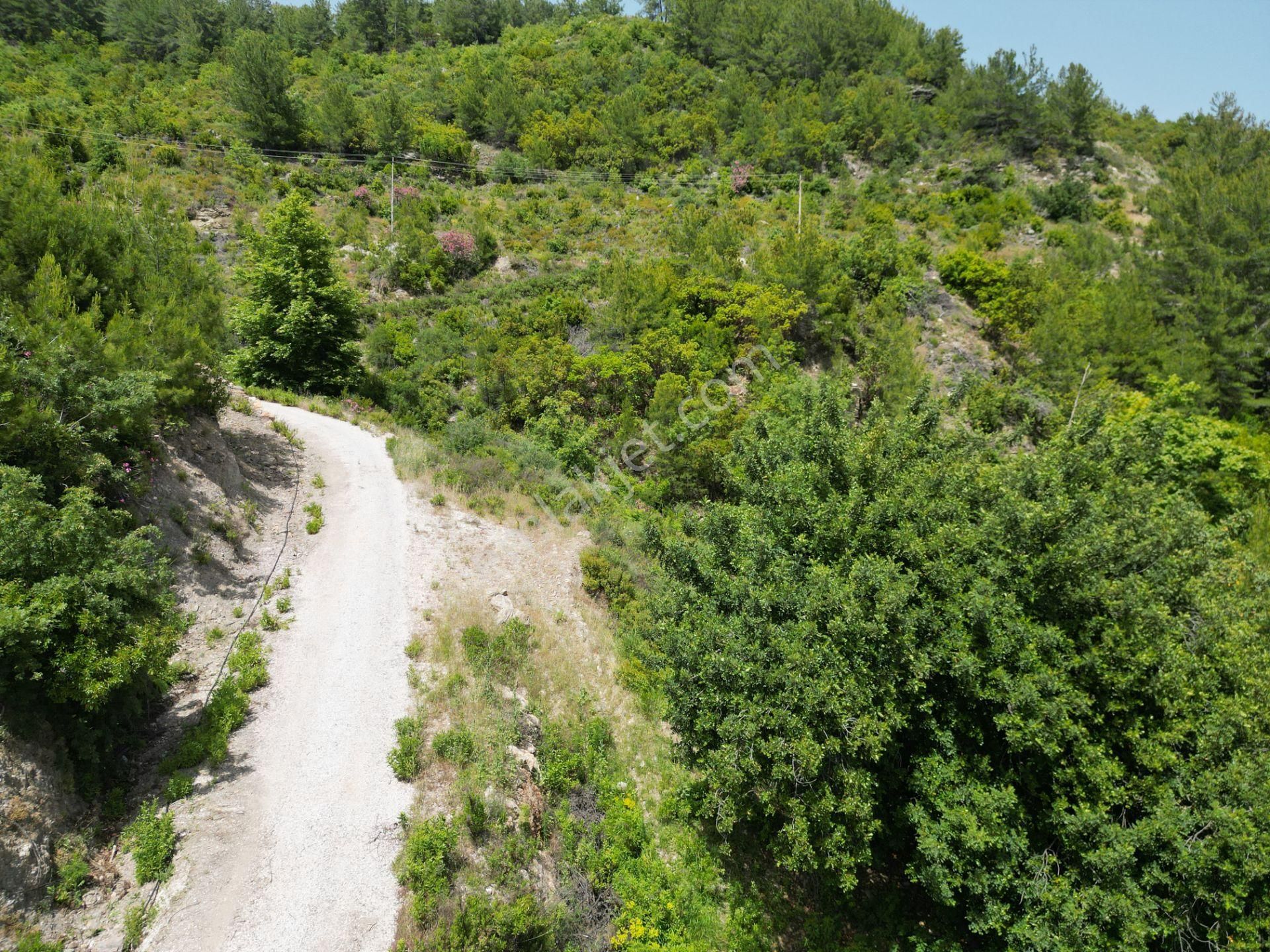 Alanya Üzümlü Köyünde Satılık 2370 M2 Tarla - Görsel 10