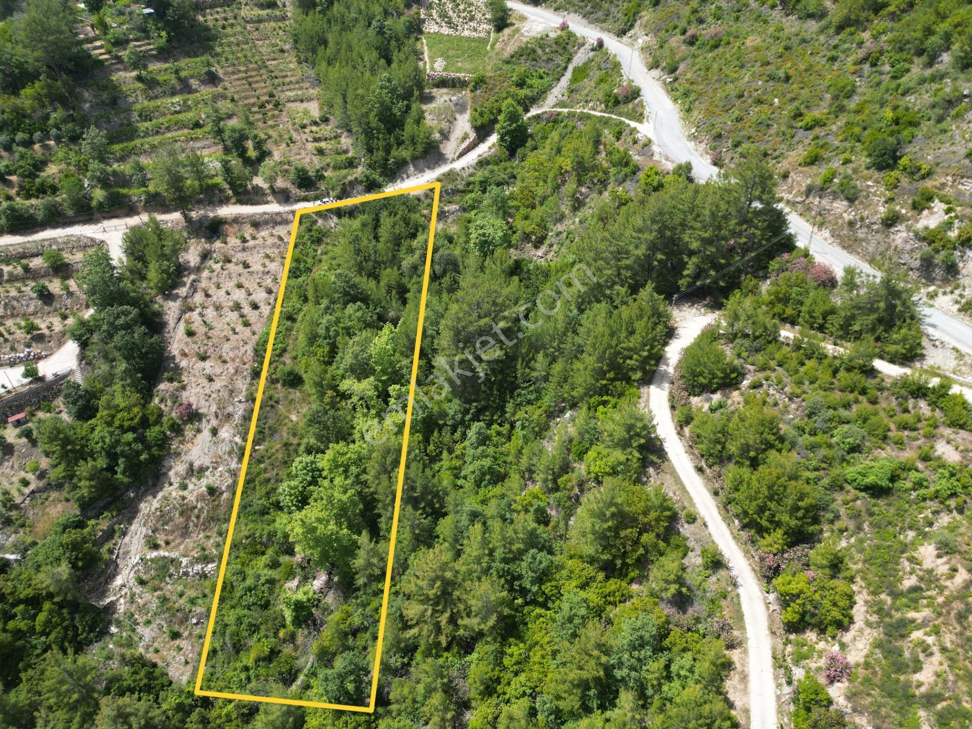Alanya Üzümlü Köyünde Satılık 2370 M2 Tarla - Görsel 14