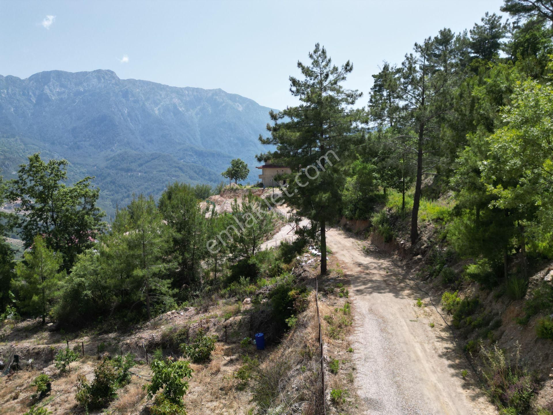 Alanya Üzümlü Köyünde Satılık 2370 M2 Tarla - Görsel 9