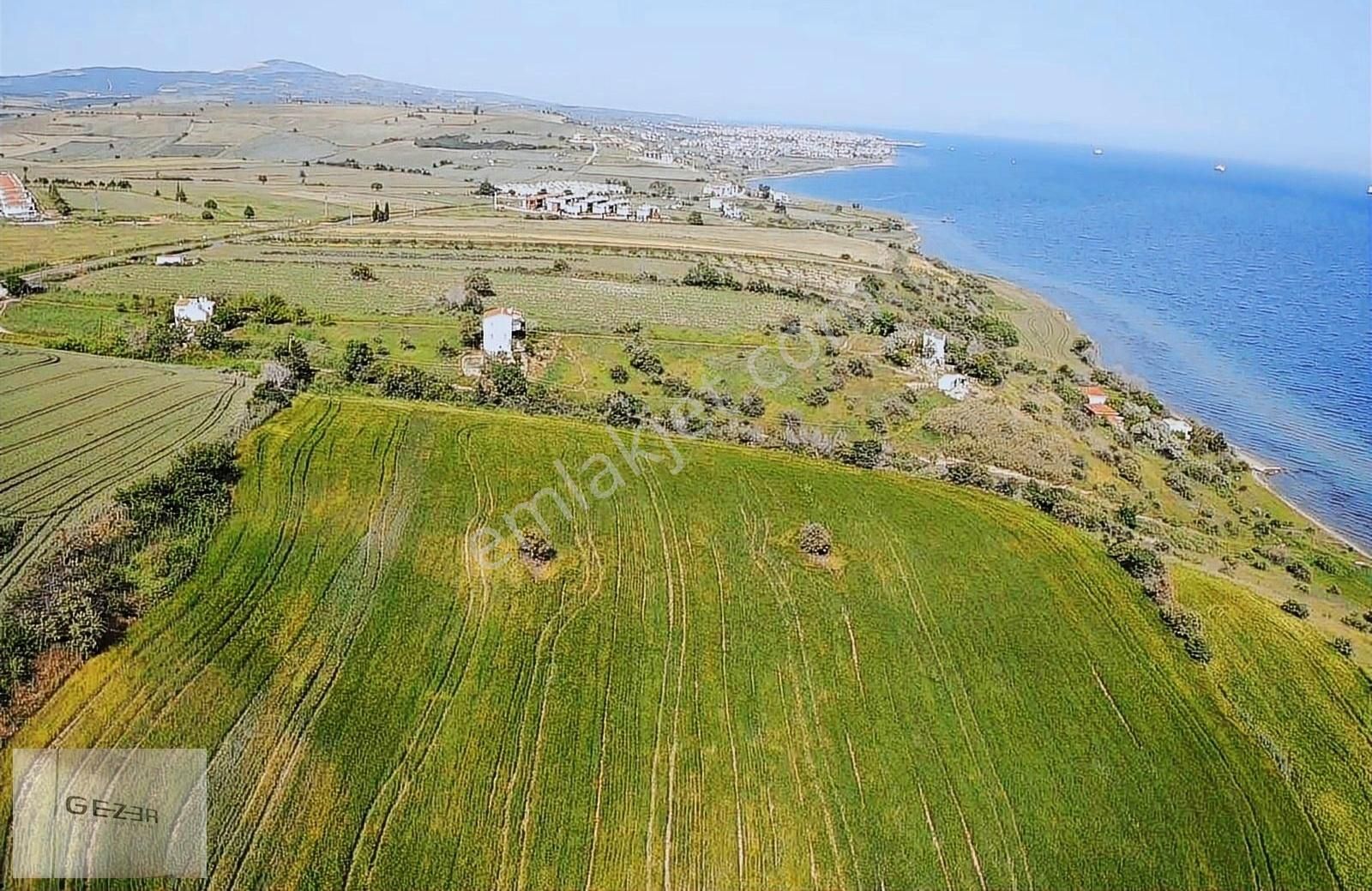 Şarköy İstiklal Satılık Muhtelif Arsa Gezeroğlusatılık 230 M2 İstikalal Mahalesinde Hisse