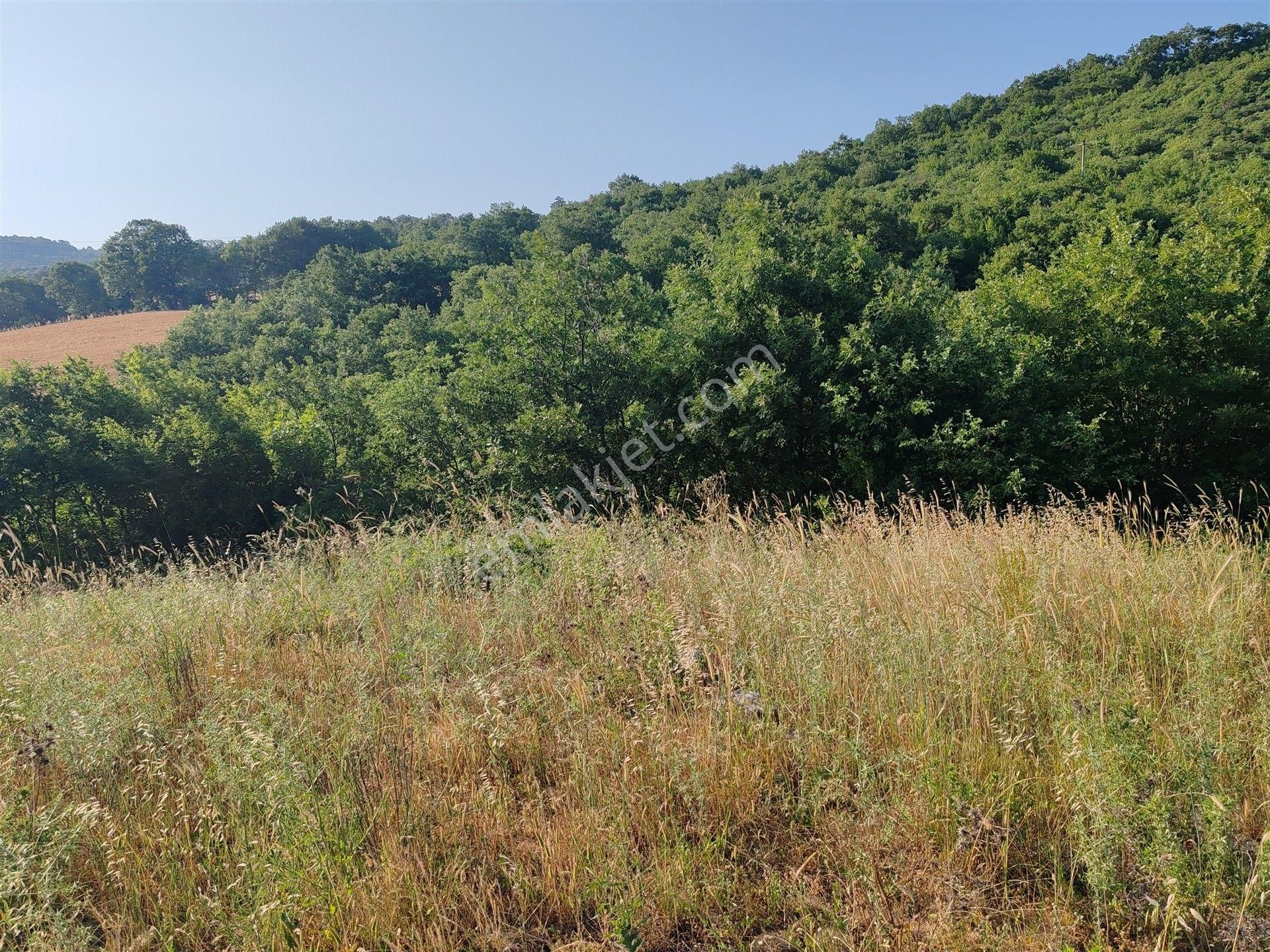 2.786 M2 Yatırımlık Tarla Bağ-bahçe Resmi Kadastro Yolu Yoktur.