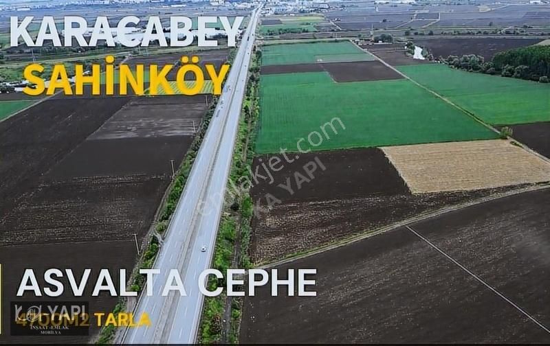 Karacabey Şahinköy Satılık Muhtelif Arsa KARACABEY ASVALTA CEPHE 4700M2 KÖŞE TARLA