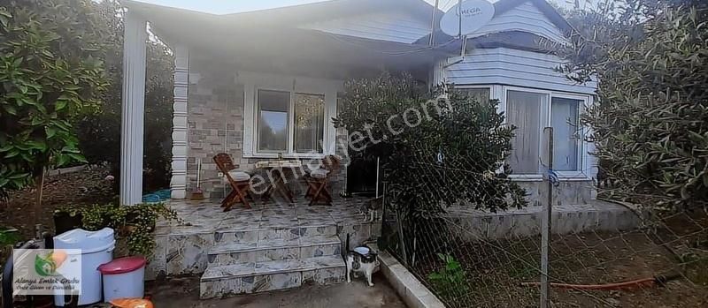 Alanya Kestel Kiralık Daire Kestel müstakil 1+1 Eşyalı Daire KİRALIK