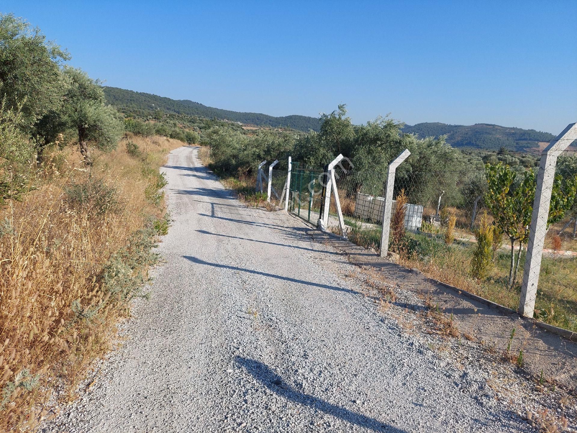 Torbalı Karaot Satılık Tarla Saraç Emlaktan Torbalı Karaot Ta Satılık 1400 M