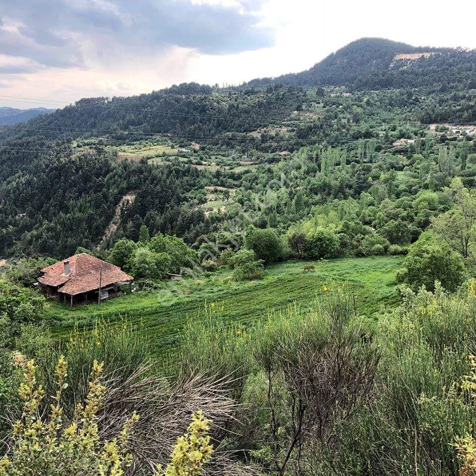 Bucak Çamlık Köyü (Kavaklı) Satılık Bağ & Bahçe EMLAKÇIM dan Bucak Çamlık ta  2530 m2 SATILIK BAHÇE