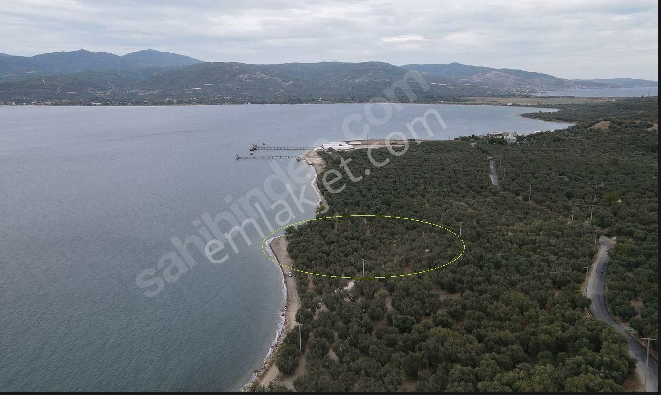 Bandırma Edincik Satılık Arazi  Denize sıfır, sahile ve yola cepheli, suyu, yolu olan köşe başı arazi. SAHİBİNDEN..