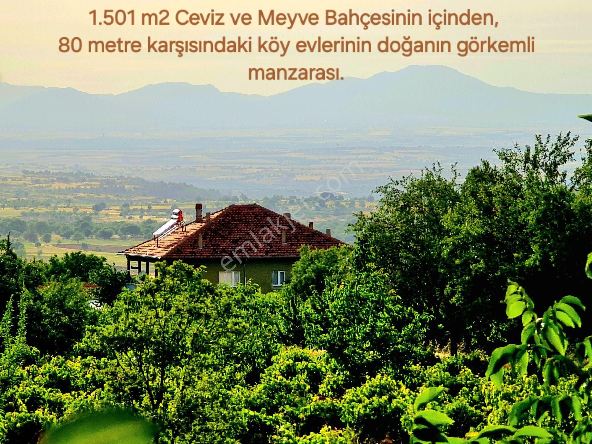 Karahallı Kavaklı Köyü Satılık Tarla Uşak Karahallı Kavaklı Köyün İçinde Kupon 1501 m2 Ceviz ve Meyve Bahçesi. İlan Açıklamasını Okuyunuz