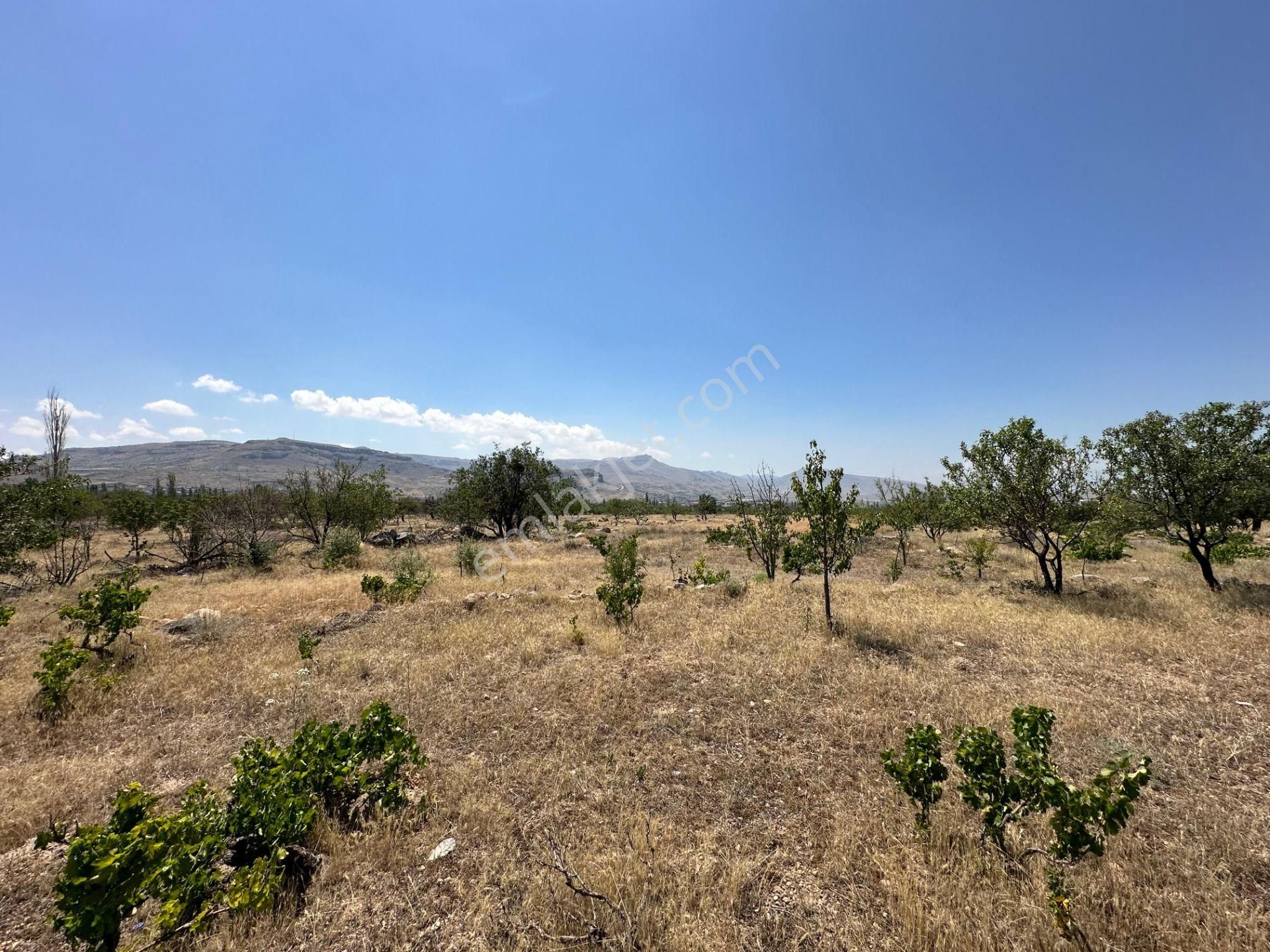 Öz Gaye Emlaktan Develi Köşkpınar Çakılarası Mevkiinde Satılık Bağ Yeri - Görsel 2