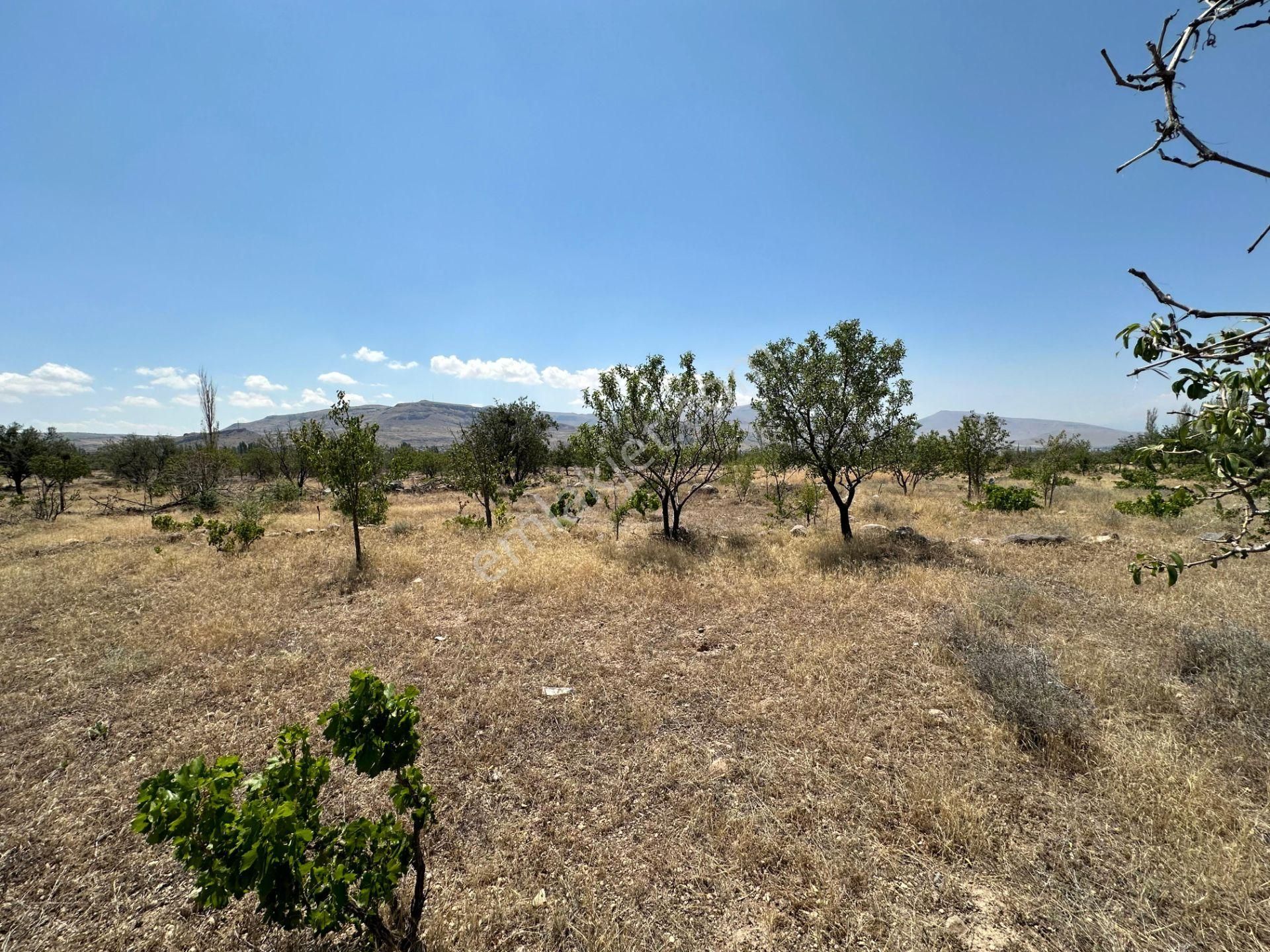 Öz Gaye Emlaktan Develi Köşkpınar Çakılarası Mevkiinde Satılık Bağ Yeri - Görsel 4