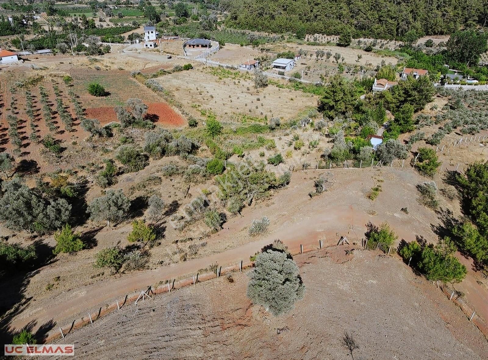 Menderes Yeniköy Satılık Zeytinlik ÜÇ ELMASTAN MUHEŞEM KONUMDA 6.000 M² TEK TAPU HARİKA ARAZİ