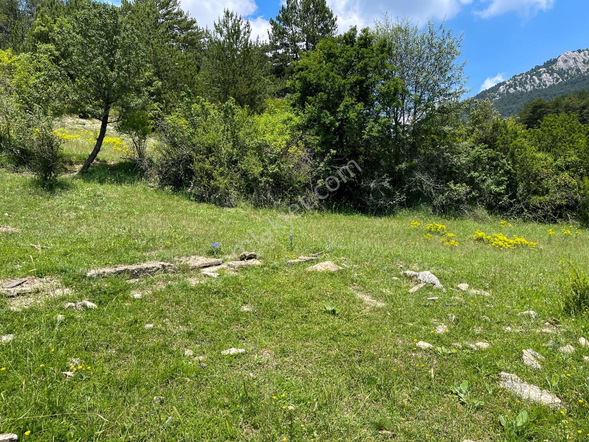 Mudurnu Tımaraktaş Köyü (Kahyalar) Satılık Konut İmarlı  BOLU'DA ABANT GÖLÜNE 30DK! 42 m² ARSA !! TAPUDA İŞLİ YAPI MEVCUT