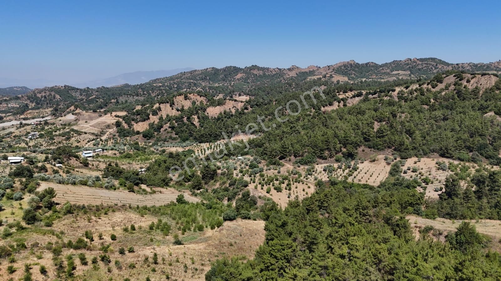 Turgutlu Bozkır Satılık Bağ & Bahçe  TURGUTLU BOZKIR MAH. SATILIK ARAZİ 