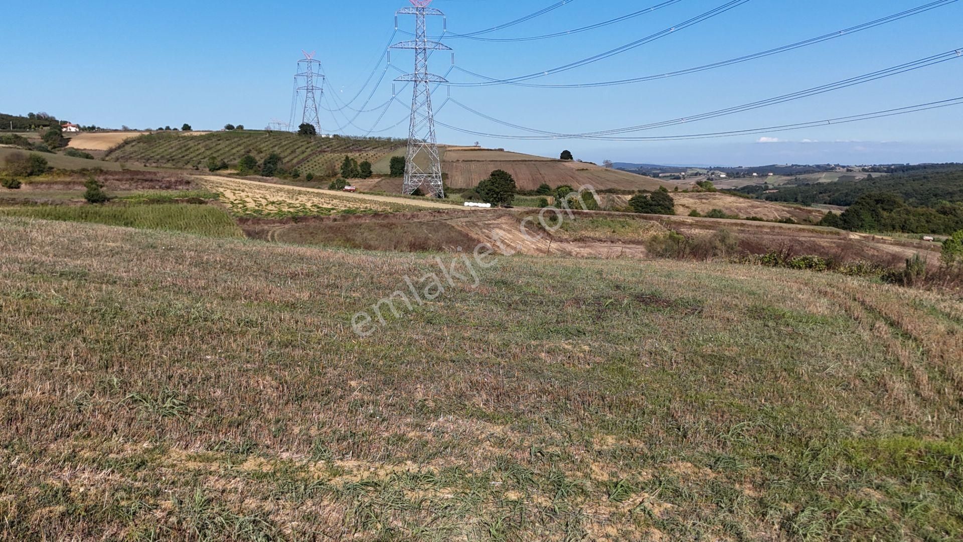 Pelitpınarında 2069 M2 %5 İmarlı Yatırımlık Tarla - Görsel 13