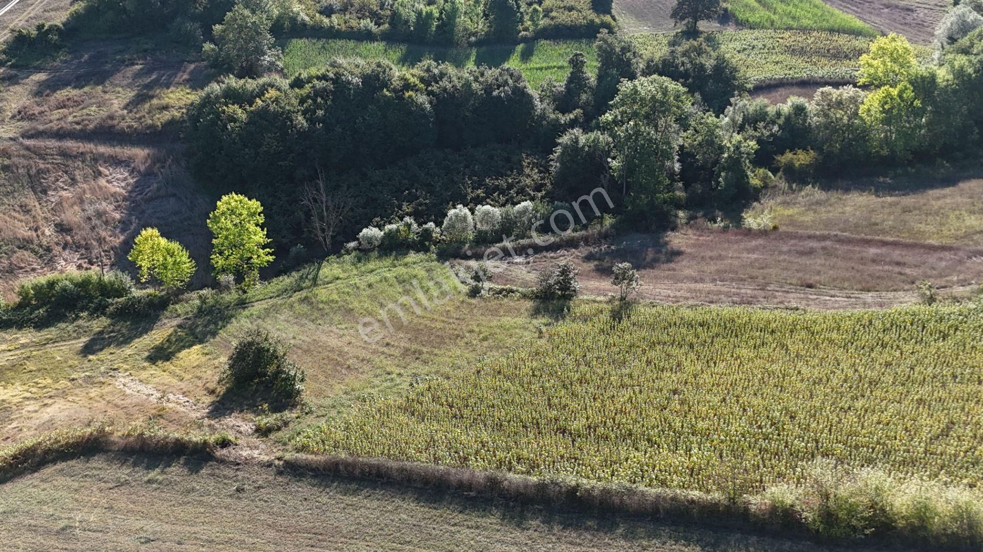 Pelitpınarında 2069 M2 %5 İmarlı Yatırımlık Tarla - Görsel 11