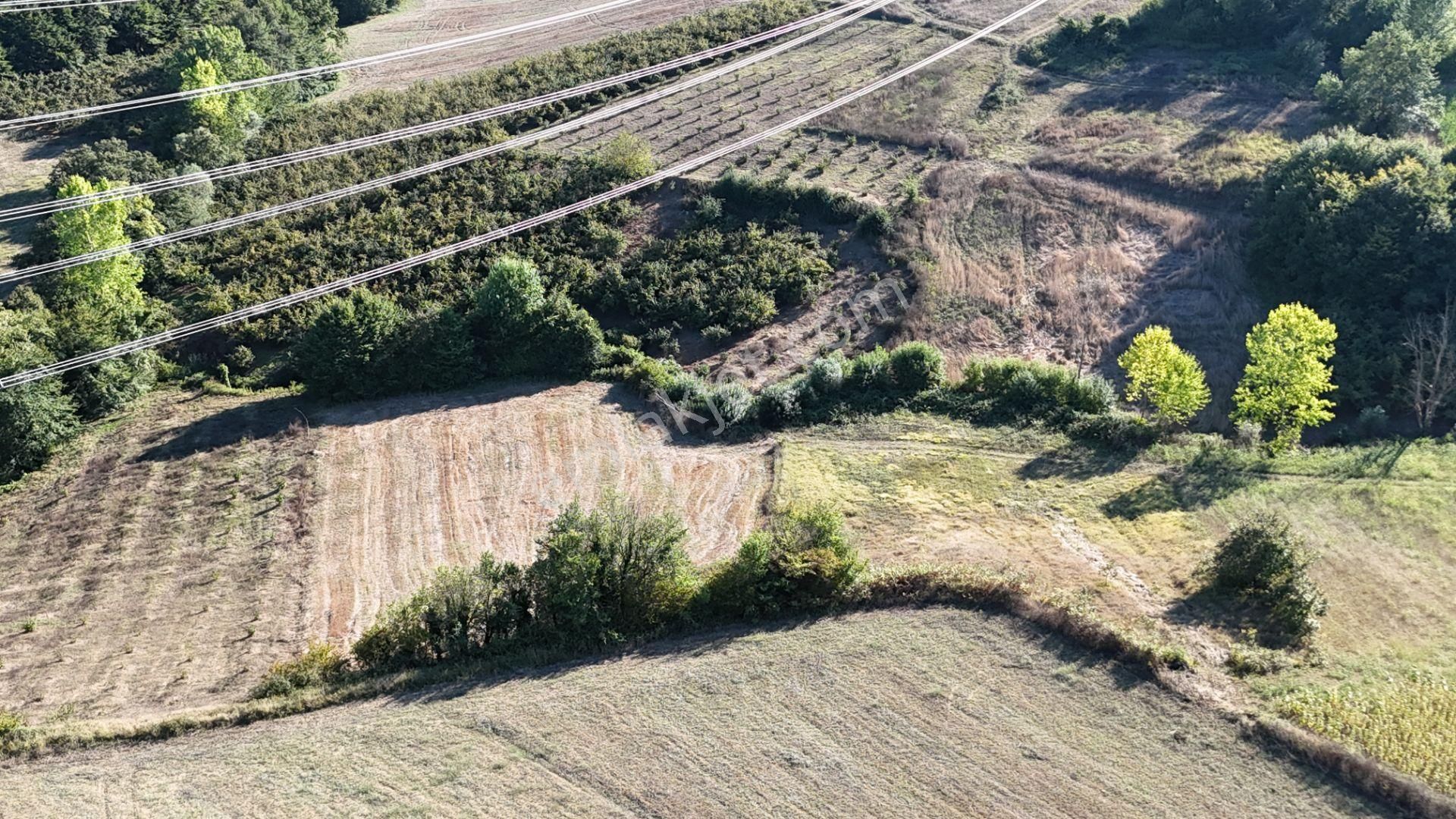 Kandıra Pelitpınarı Satılık Tarla KANDIRA PELİTPINARINDA 2069 m2 TOPLUULAŞTIRMADA SATILIK PARSEL