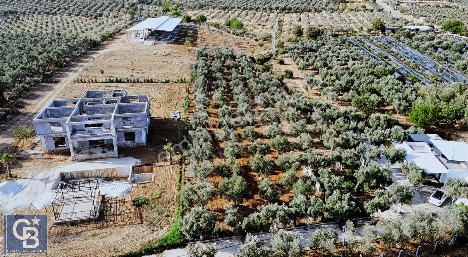 Aydın Çine Karahayıt 14.511 M2 Fırsat Arazi - Görsel 3