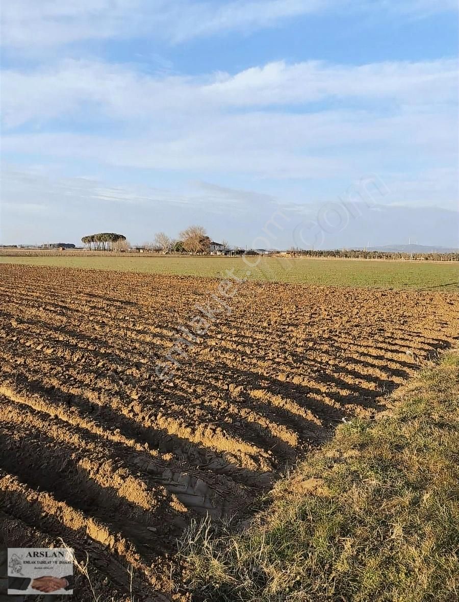 Satılık Tarla - Görsel 7