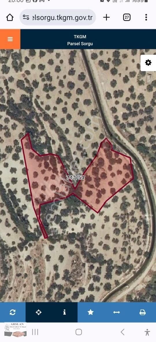 Satılık Bakımlı 65 Ağaç Zeytinlik - Görsel 7