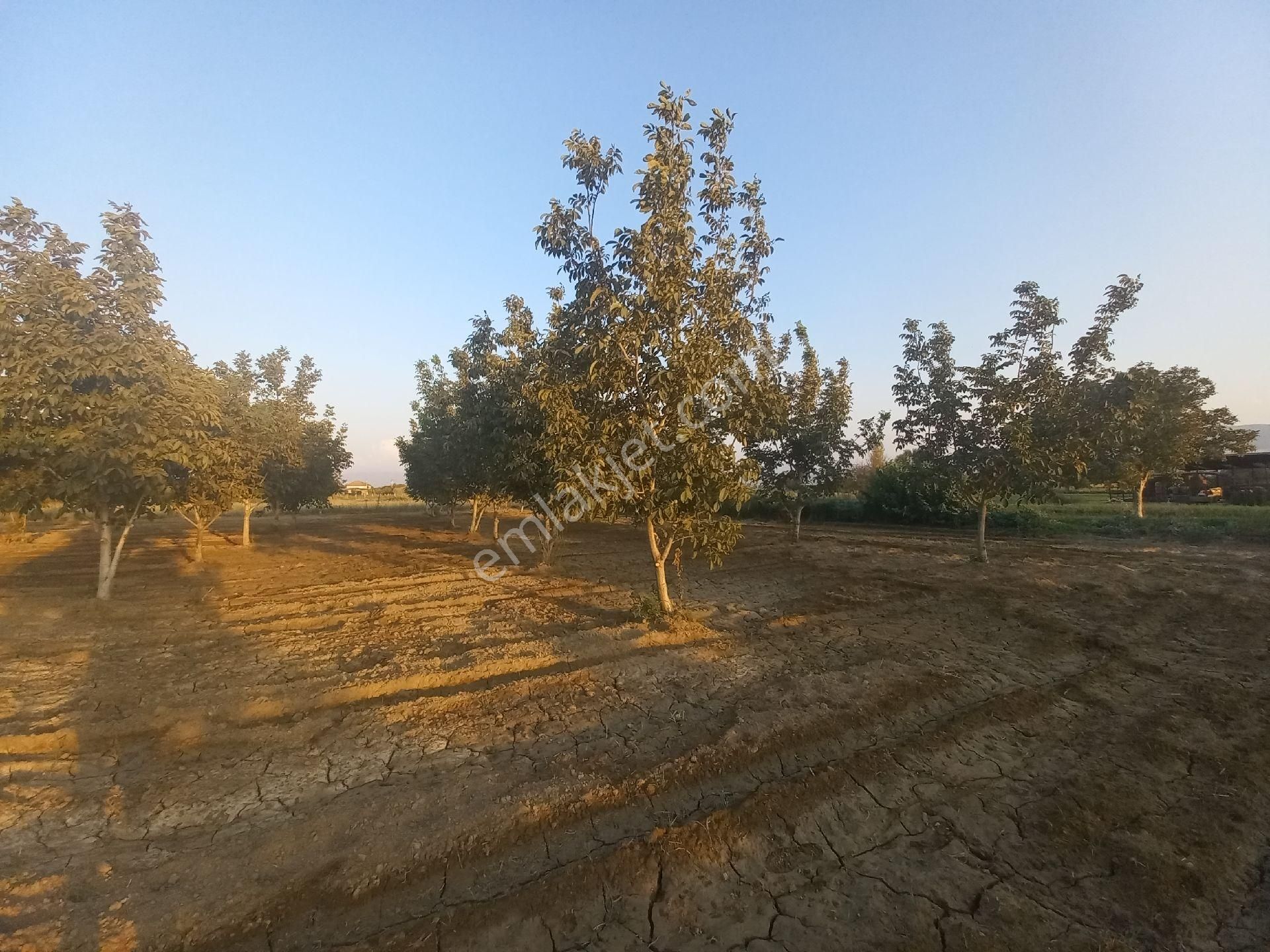 Sahibinden Yatırımlık Tarla